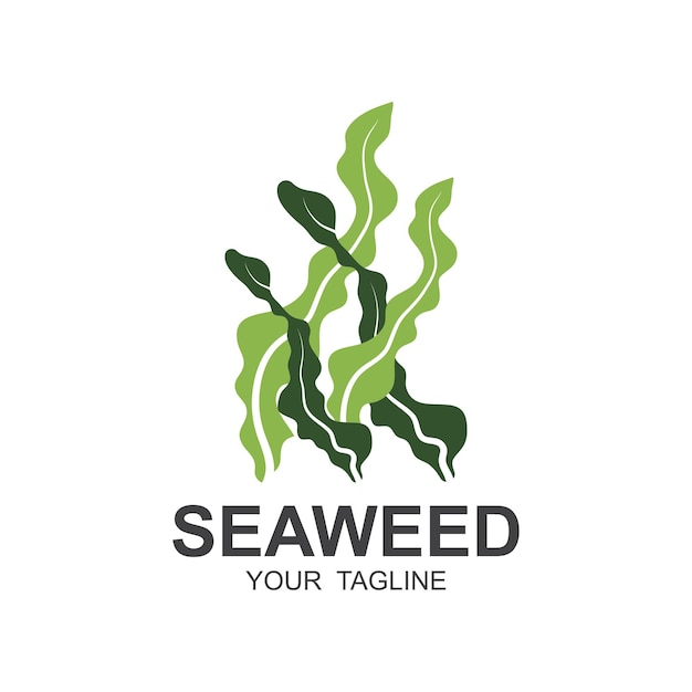 海藻 ロゴデザイン 水中植物 イラスト化 ⁇ 品と食品成分