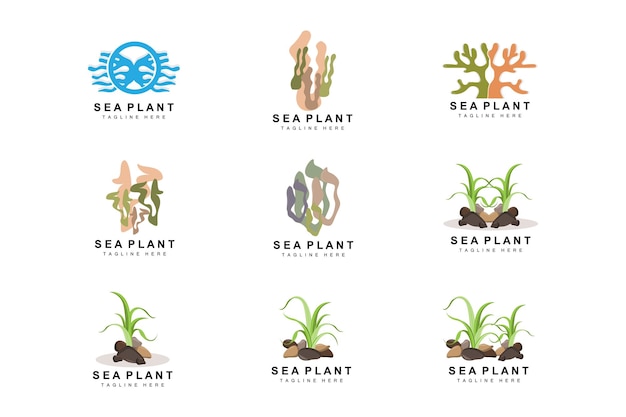 Logo di alghe marine piante di mare disegno vettoriale generi alimentari e protezione della natura