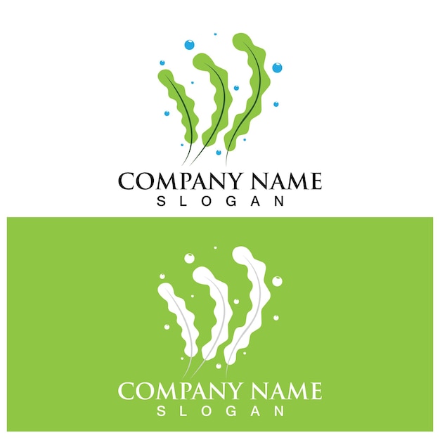 Vector seaweed logo and vector template