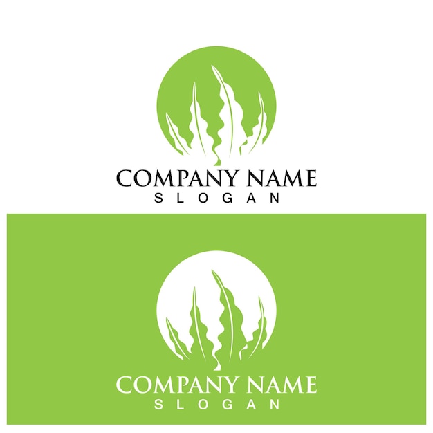 Seaweed logo and vector template