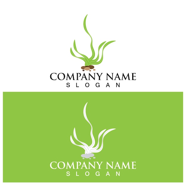 Seaweed logo and vector template