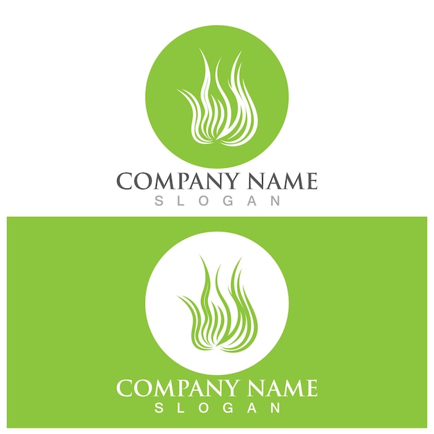 Seaweed logo and vector template