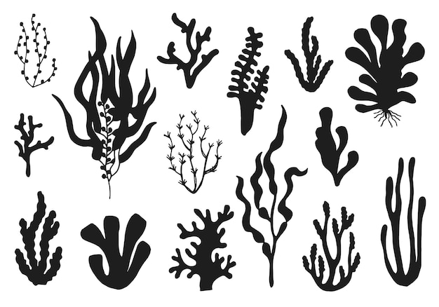 Морской водоросль набор профессиональных элементов