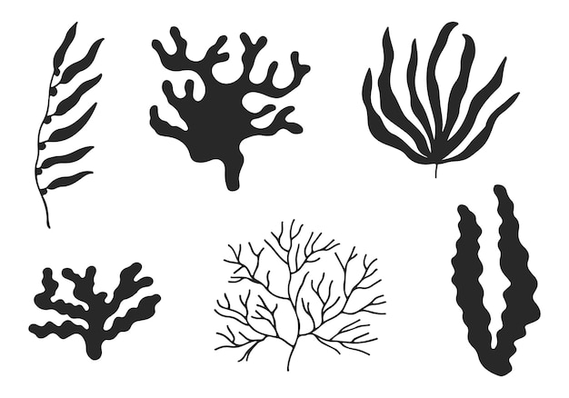 Seaweed sea silhouette vector set