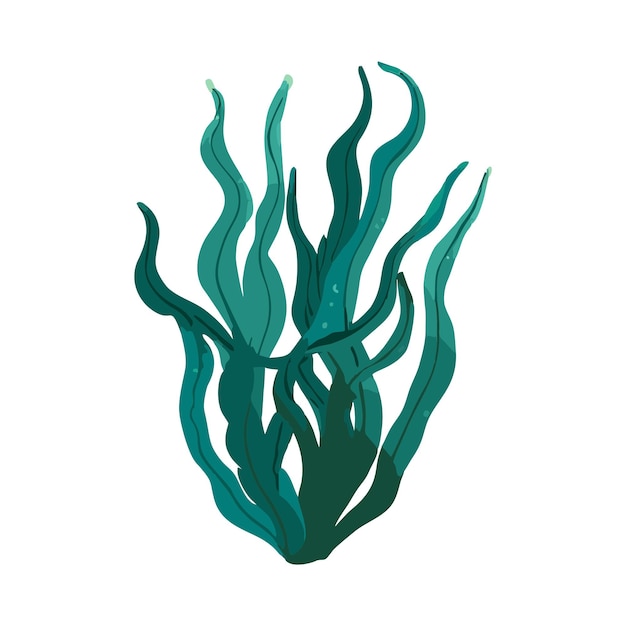 Vector seaweed vector 2