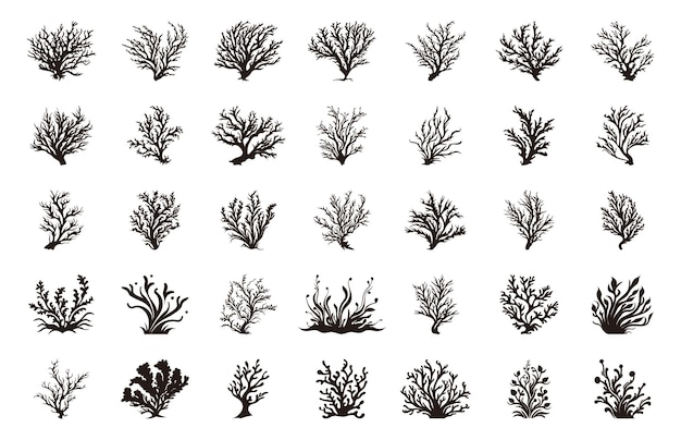 Seaweed Vector Set Seaweed silhouette Collection Sea coral silhouettes clipart bundel