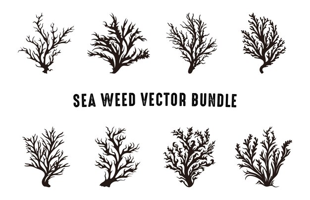 Vector seaweed vector set seaweed silhouette collection sea coral silhouettes clipart bundle