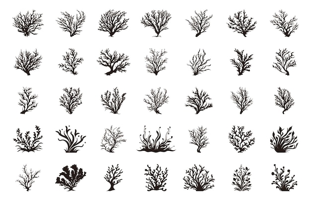 Seaweed vector set seaweed silhouette collection sea coral silhouettes clipart bundle