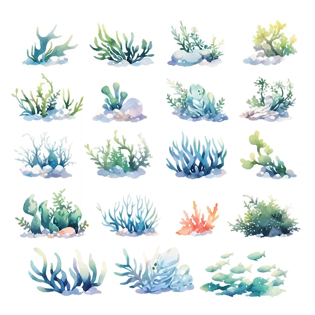 海藻水彩ヴィンテージボタニカルイラストベクトル装飾手描きのスケッチ
