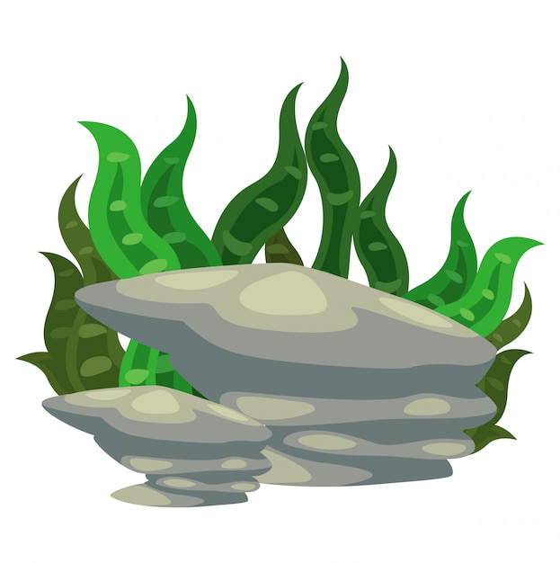 Vector seaweed with stone vector