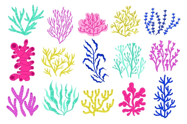 해초와 조류 만화 다채로운 수중 식물 다채로운 이국적인 해양 식물학 식물 산호와 물 식물 해초 물 바다 그림의 벡터 격리 세트