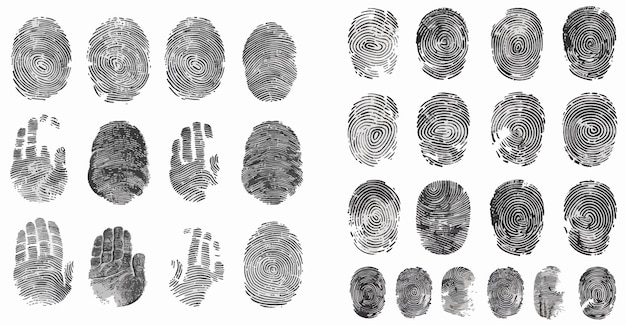 Vector security fingerprint authentication vector illustration set