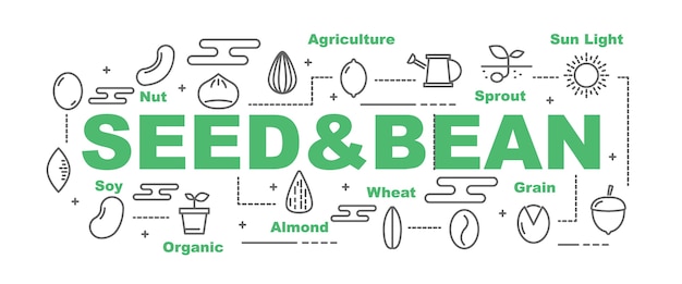 Seed and bean vector banner