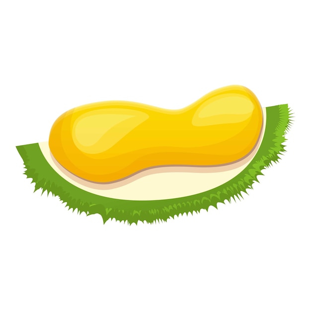 Иконка ломтика семени дуриана Мультфильм векторной иконки ломтика семени дуриана для веб-дизайна выделен на белом фоне