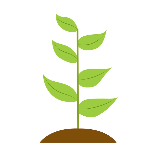 Seedling icon vector illustration isolated on white background - Clipart