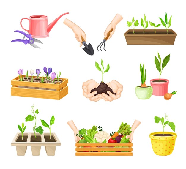 Вектор seedling or young plants growing in plastic pots vector set