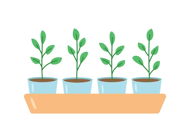 Seedlings in pots vector illustration of gardening flower nursery doodle style