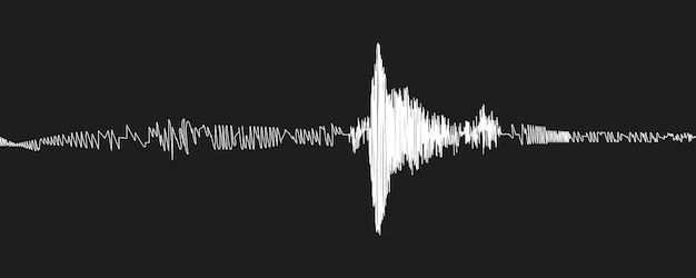 Vector seismogram of seismic activity or black lie detector record on black