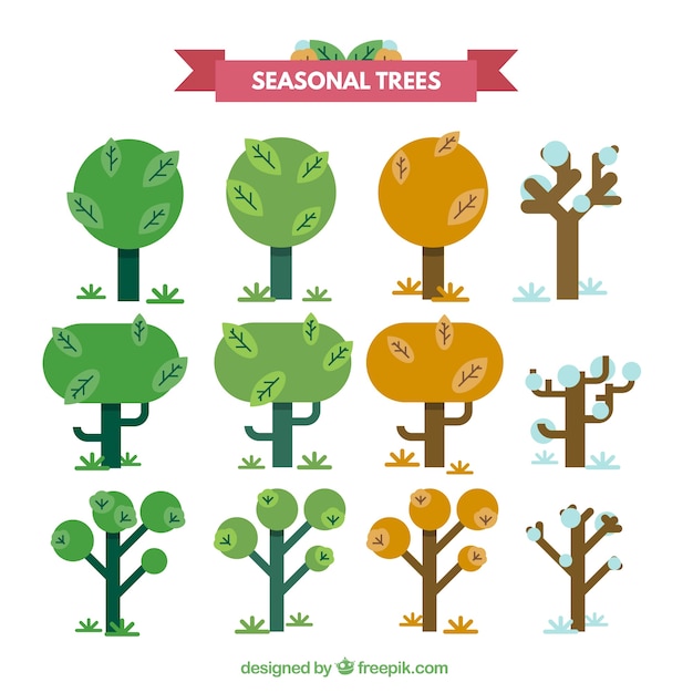 Vector seizoensgebonden bomen collectie