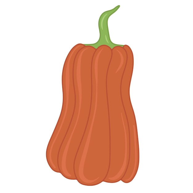 Seizoensgebonden herfst oranje pompoen platte vector geïsoleerde illustratie