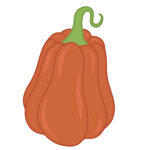 Seizoensgebonden herfst oranje pompoen platte vector geïsoleerde illustratie