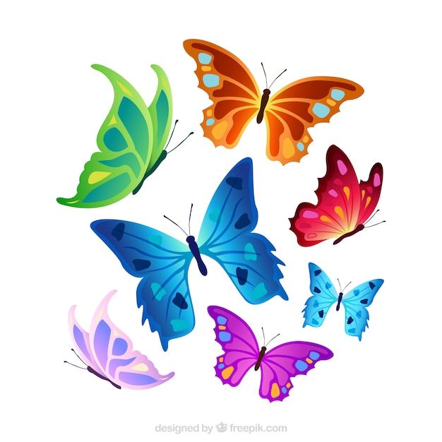 Vector selection of colorful butterflies