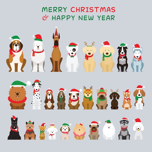 Selection of dogs in christmas costumes