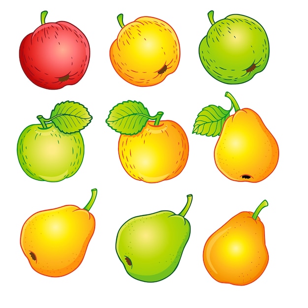 Vector selection of fresh fruit