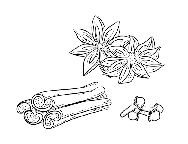 A selection of spices. Set of anise, cinnamon and cloves. Black line art in hand drawn doodle style.