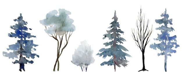 Vector selection of winter trees and shrubs