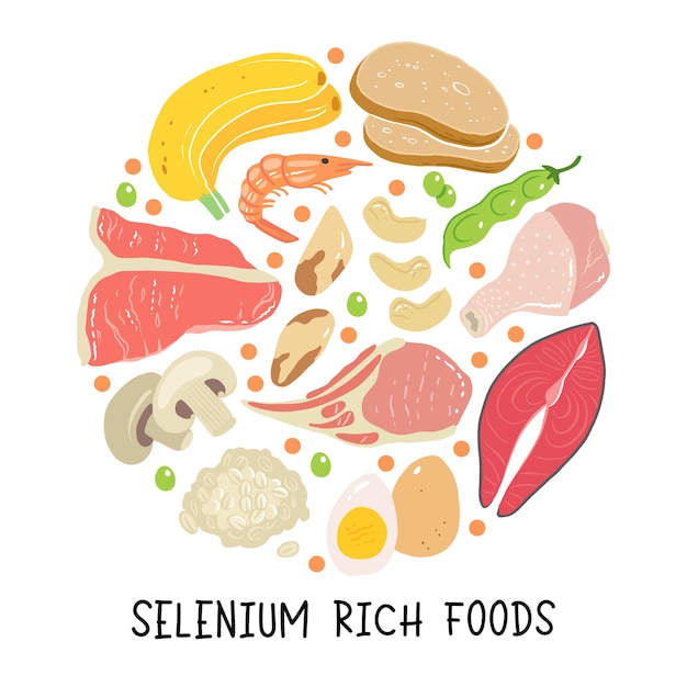 Selenium vector stock illustratie Voedingsmiddelen met een hoog gehalte aan de minerale tonijn vis vlees champignons garnalen paranoten cashew haver brood bonen Informatie poster Voedsel dieet