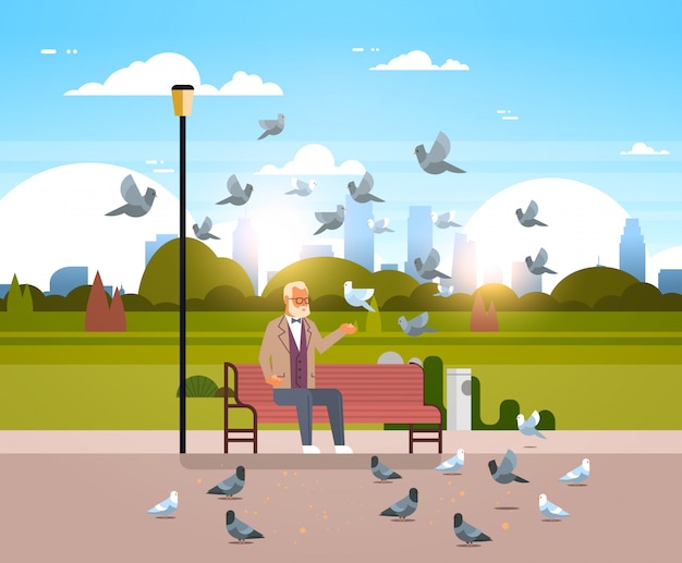 Vector senior man feeding flock of pigeons