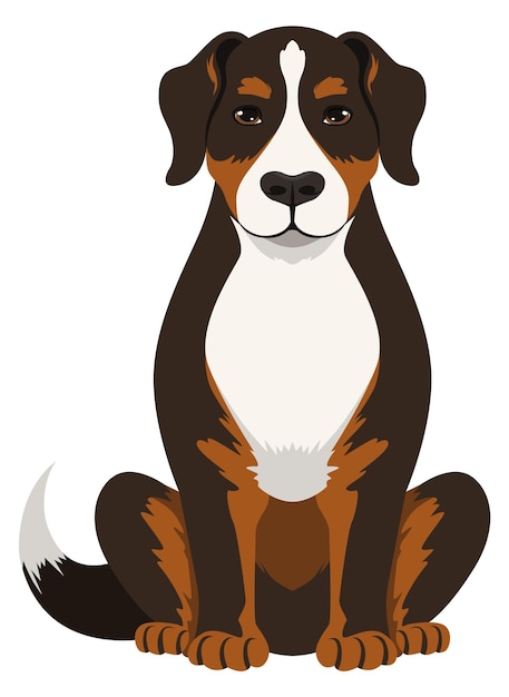 Vector sennenhund icon swiss mountain dog pure breed pet