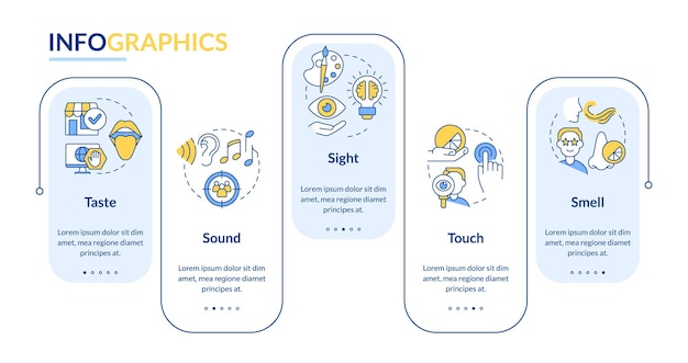 広告長方形インフォ グラフィック テンプレートの感覚受容器