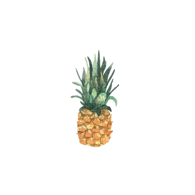 Separare l'arte di clip della frutta dell'acquerello dell'illustrazione botanica dell'ananas isolata su bianco