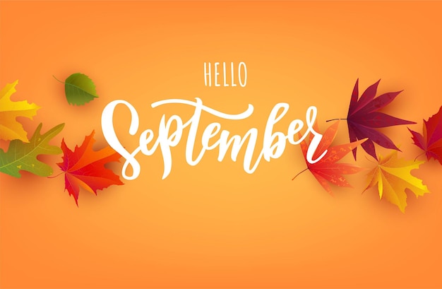 September tekst. Belettering typografie. Vectorillustratie als poster, briefkaart, wenskaart, uitnodigingssjabloon. Concept september reclame