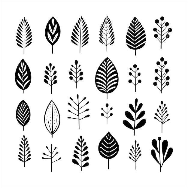 Vector serene monochromatic leaf ensemble