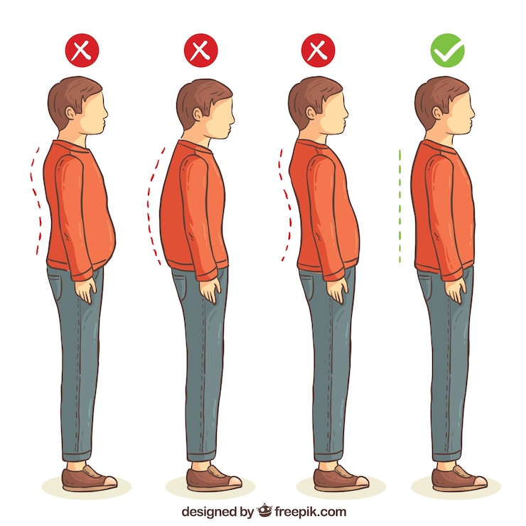 Vector series of correct and incorrect postures for the back
