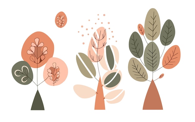 A series of different illustrations of plants and leaves.