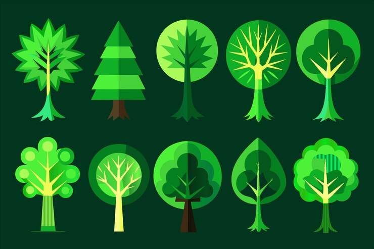Vector a series of different trees and plants with leaves and leaves