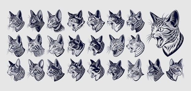 a series of images of cats with different patterns