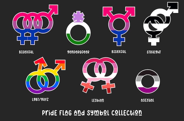 Vector a series of pride flag and symbol collection
