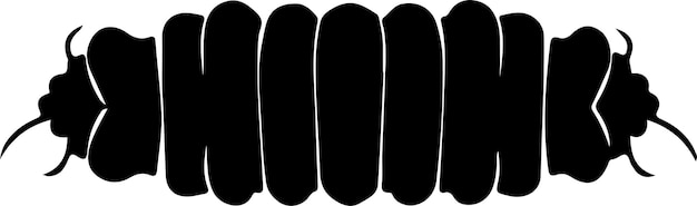 Vector a series of skateboards with the words  verizon  on the bottom