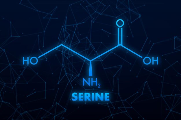 세린 공식 세린 또는 lserine Ser S 아미노산 분자