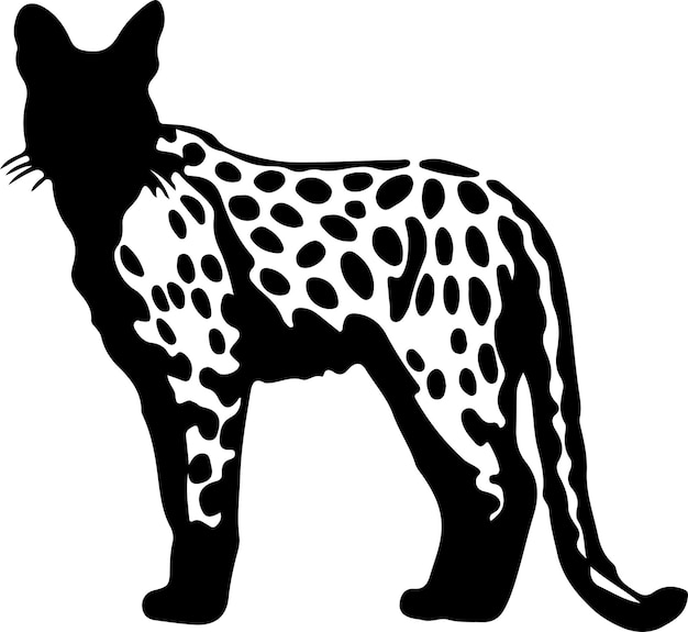 Vector serval black silhouette with transparent background