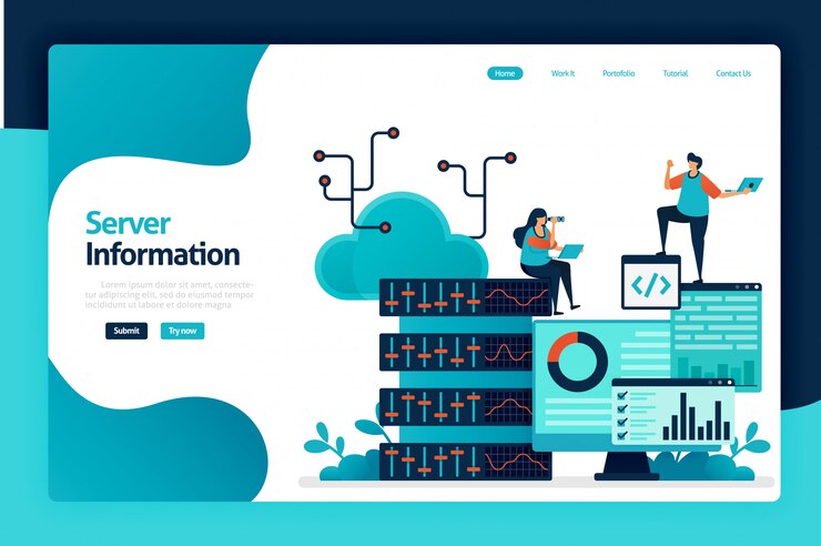 Vector server information landing page