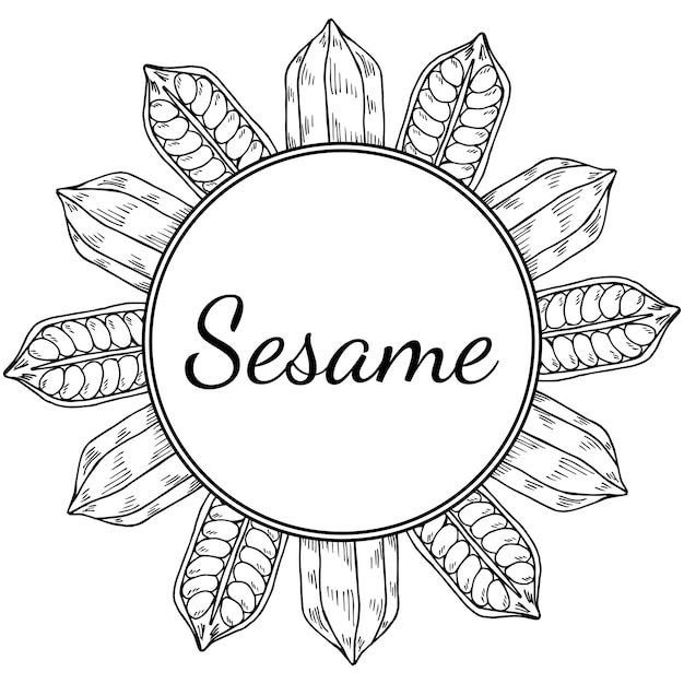 Vector sesame round frame 2