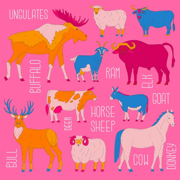 Set of 10 ungulates Wild and domesticated animals Cow deer buffalo bull goat ram sheep donkey elk horse Farm pets Household Vector illustration Isolated objects on white background