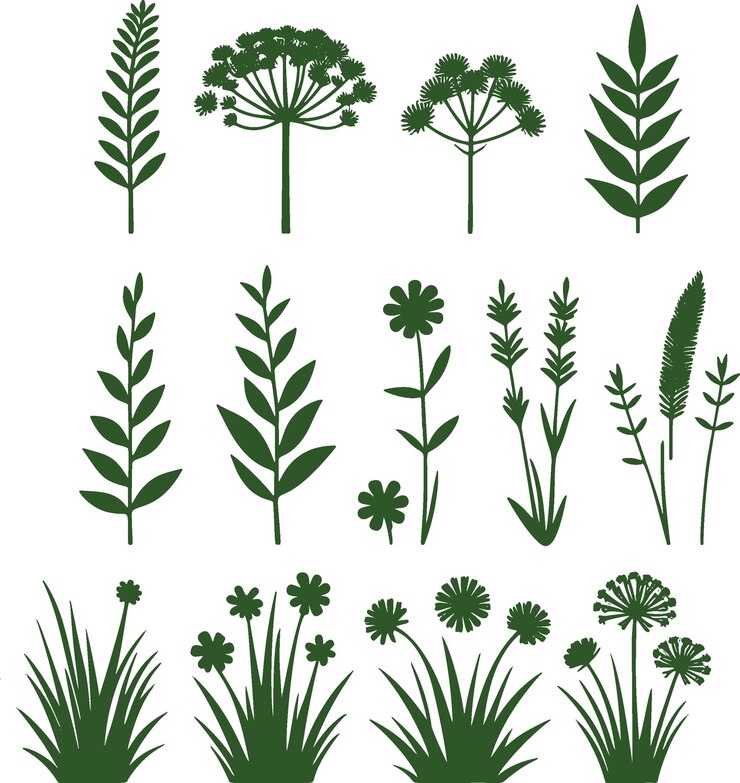 Vector 一組 14 種綠色花和草本植物在白色背景下