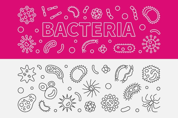 Set of 2 bacteria outline banners vector illustration